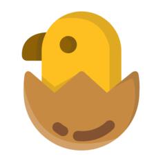 Chick