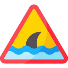 Shark