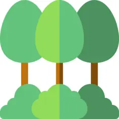 森林