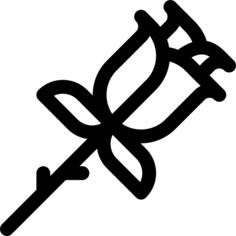 玫瑰
