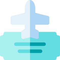 Plane ticket