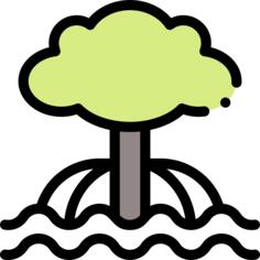 Mangrove
