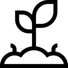 豆芽