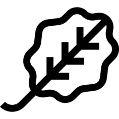 Leaf