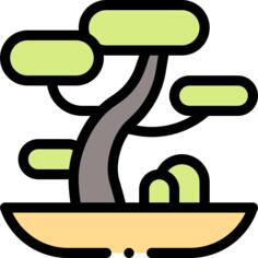 Bonsai