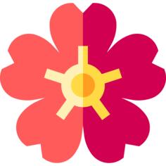 樱花盛开