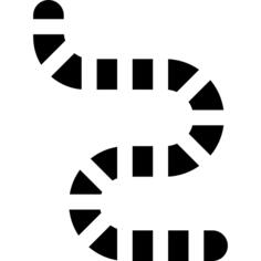 Worm