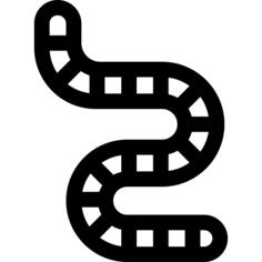 Worm
