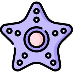 海星