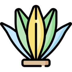 海藻