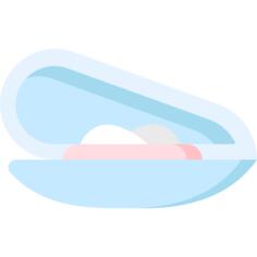 Mussel