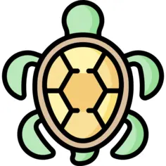 龟