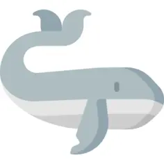鲸