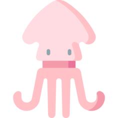 Squid