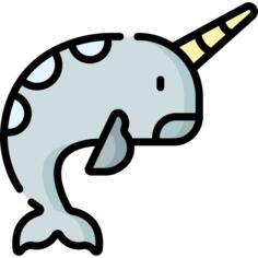 Narwhal