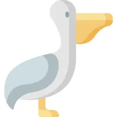 鹈