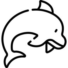 海豚