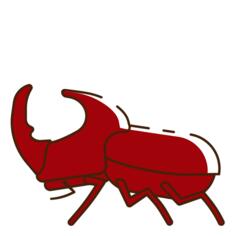 Beetle