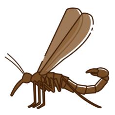 Bugs