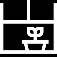 窗口