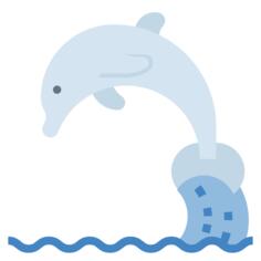 海豚