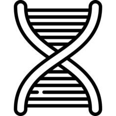脱氧核糖核酸