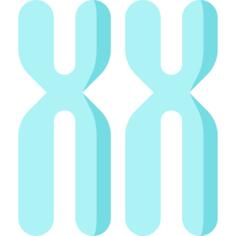 Chromosome