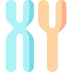 Chromosome