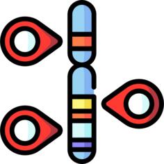 基因