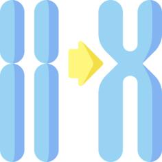 Chromosome