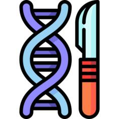 脱氧核糖核酸