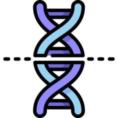 脱氧核糖核酸