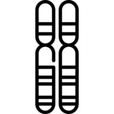 基因