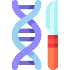 脱氧核糖核酸