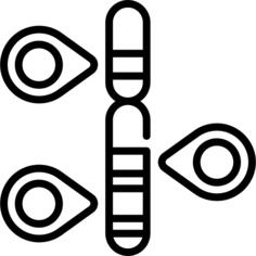 Gene