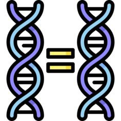 Cloning