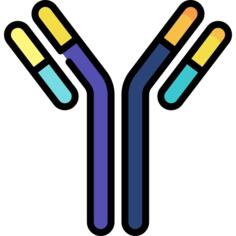 Antibodies