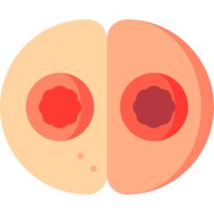 细胞