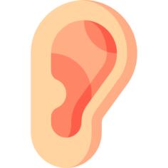耳
