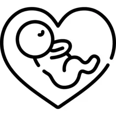 Fetus