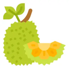 Fruit