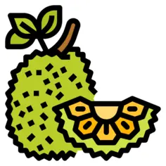 Fruit