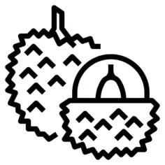 荔枝