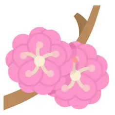 李子