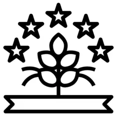评分
