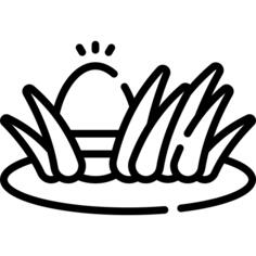 Egg