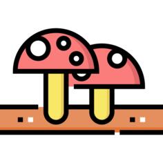 蘑菇