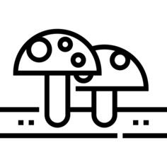 蘑菇