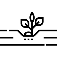 种下种子