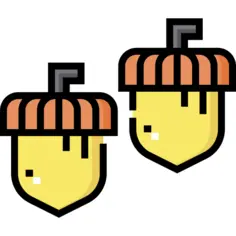 Acorn